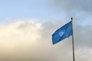الأمم المتحدة تتوقع نمو الاقتصاد العالمي بنسبة 2.8% في عام 2025 رغم التحديات الجيوسياسية